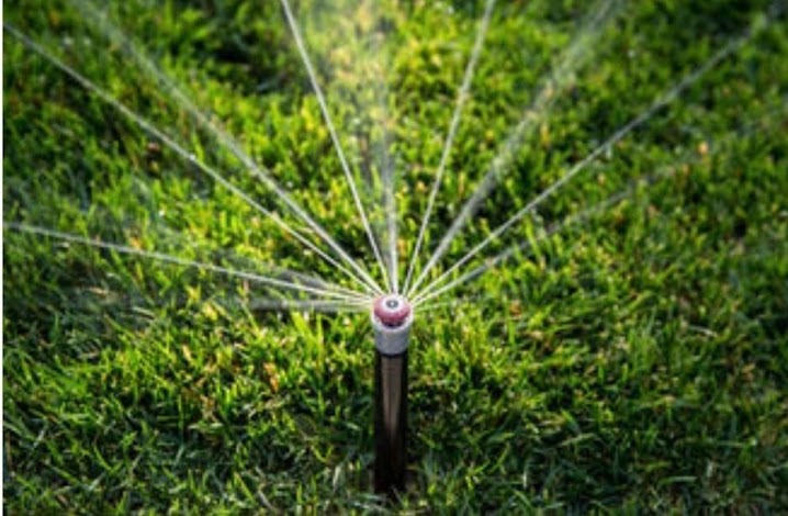 Common landscape irrigation mistakes made by Arizona homeowners
