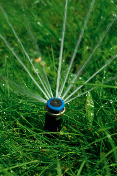 Drip irrigation repair for Scottsdale AZ luxury desert landscape