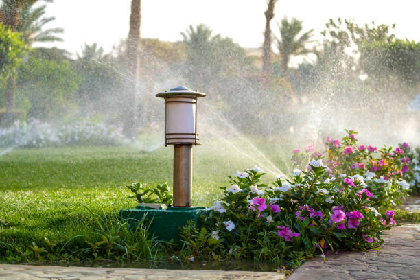 How Often Should You Service Your Sprinkler System in Arizona?