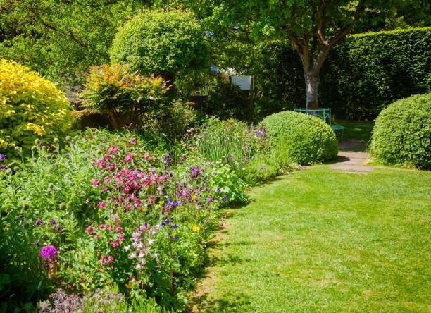 Spring irrigation system startup and inspection in Phoenix Metro