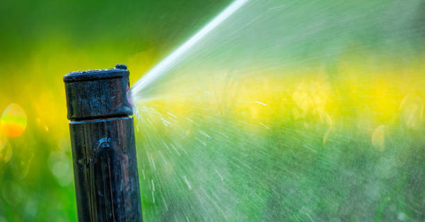 Managing irrigation during extreme summer heat in Phoenix AZ