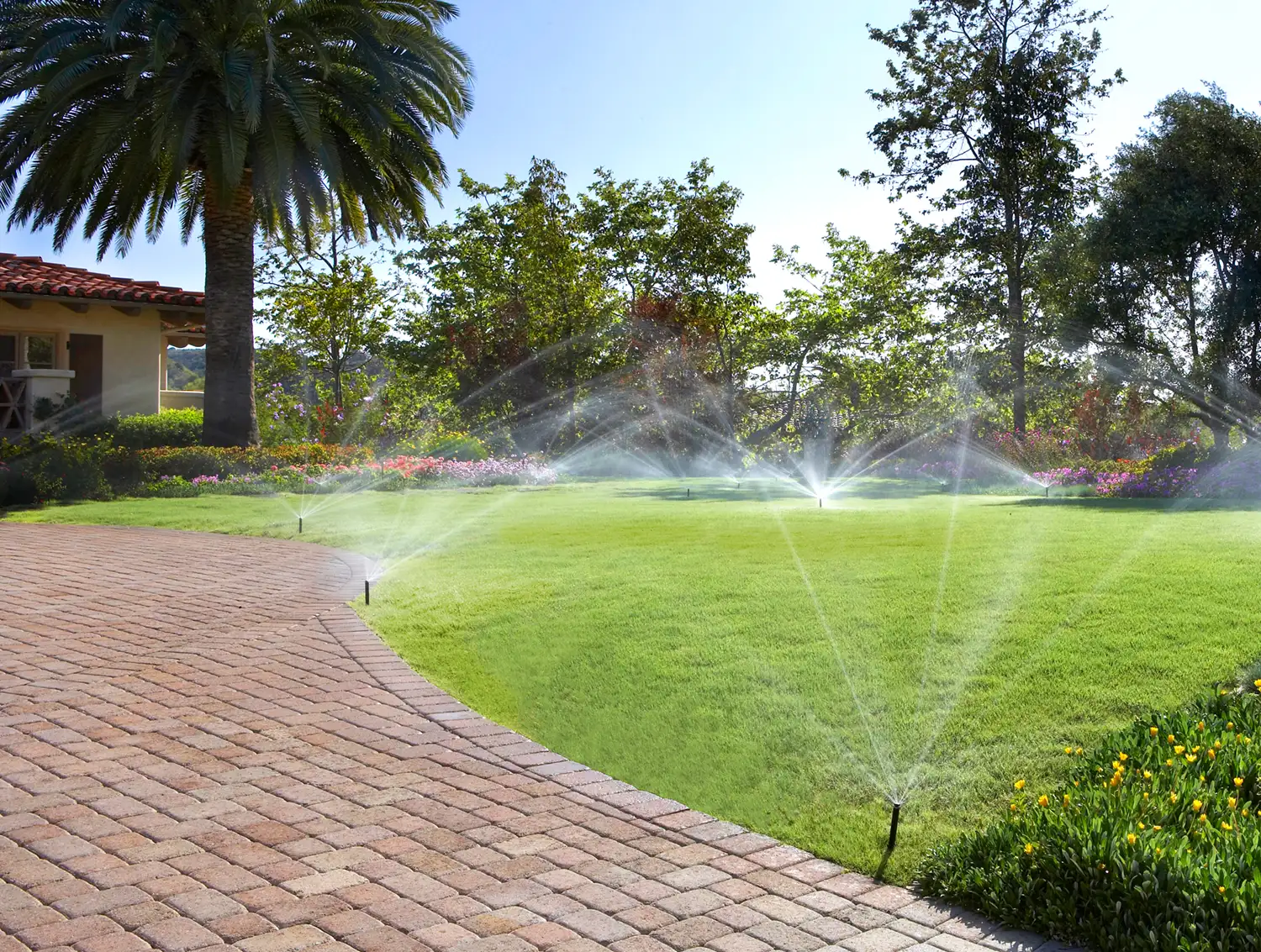 Arizona summer watering schedule for desert landscapes in Phoenix Metro